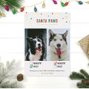 Buscar perros tarjetas Vacaciones