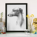 Buscar perro blanco posters Whippet