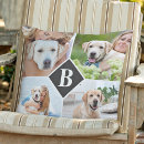 Buscar fotos del perro cojines Moderno