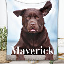 Buscar labrador mantas cobertores Cachorro