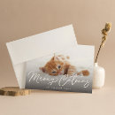 Buscar meowy catmas tarjetas Divertido