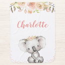 Buscar koala bebe mantas Lindo