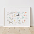 Buscar abc del animal posters Educativo