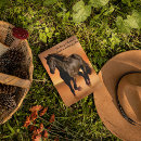 Buscar caballo hermoso postales Para todos