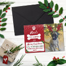 Buscar hueso de perro tarjetas Vacaciones