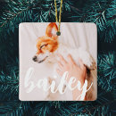 Buscar pájaros adornos Foto