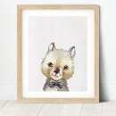 Buscar wombat Animales