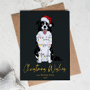Buscar border collie tarjetas Collie de frontera