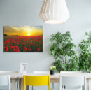 Buscar rojos lienzos Para ellos