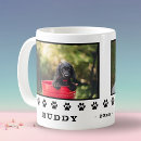 Buscar perro de trineo tazas Para mascotas