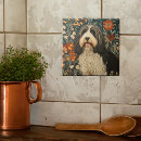 Buscar perro del collie azulejos Adorable