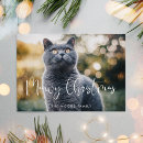 Buscar cal fotografía Navidades