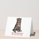 Buscar gato vaquero tarjetas Vaqueros