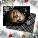 Buscar vacas tarjetas Amor