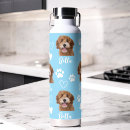 Buscar perro de agua Para todos