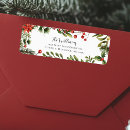 Buscar poinsetta Moderno