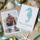 Buscar seahorse tarjetas Costero