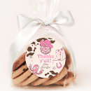 Buscar vaquero del montar a caballo postales Vaquera