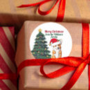 Buscar corgi pegatinas Pembroke welsh corgi