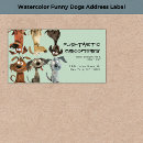 Buscar funny dog etiquetas Moderno