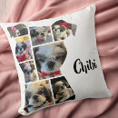 Buscar dog cojines Perros