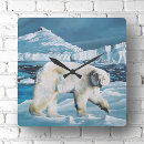 Buscar oso polar relojes de pared Ártico