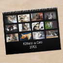 Buscar mascota calendarios Gatito