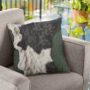 Buscar cow cojines Occidental