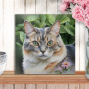 Buscar dueño del mascota azulejos General y unisex