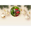 Buscar pájaros bonitos adornos Para todos