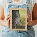 Buscar ardilla adorable posters Fotografía de naturaleza