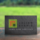 Buscar hierba tarjetas de visita Empotramiento