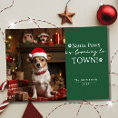 Buscar paws tarjetas Perros