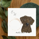 Buscar chocolate labrador decoracion Laboratorio de chocolate