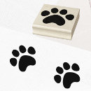 Buscar huellas de animales manualidades 9 º gata