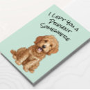 Buscar goldendoodle Divertido