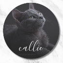 Buscar foto del gato pegatinas Crea el tuyo propio
