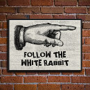 Buscar conejos blancos posters Para todos