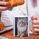 Buscar gato del ragdoll tazas 9 º gata