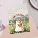 Buscar lindo boda tarjetas Recién casados