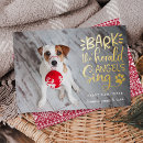 Buscar perros en barco tarjetas Adorable