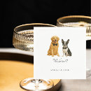 Buscar corbata servilletas Parejas