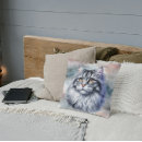 Buscar gatos persas cojines Animales