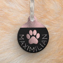 Buscar efecto mascotas Perro