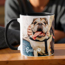 Buscar gatitos lindos tazas Para todos