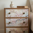 Buscar rosa papel de seda Contenido generativo