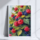 Buscar zarzamora posters Fruta