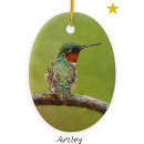 Buscar pájaro rojo adornos Vida silvestre