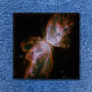 Buscar mariposas bonitas chapas General y unisex