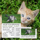 Buscar adopción flyers Animales